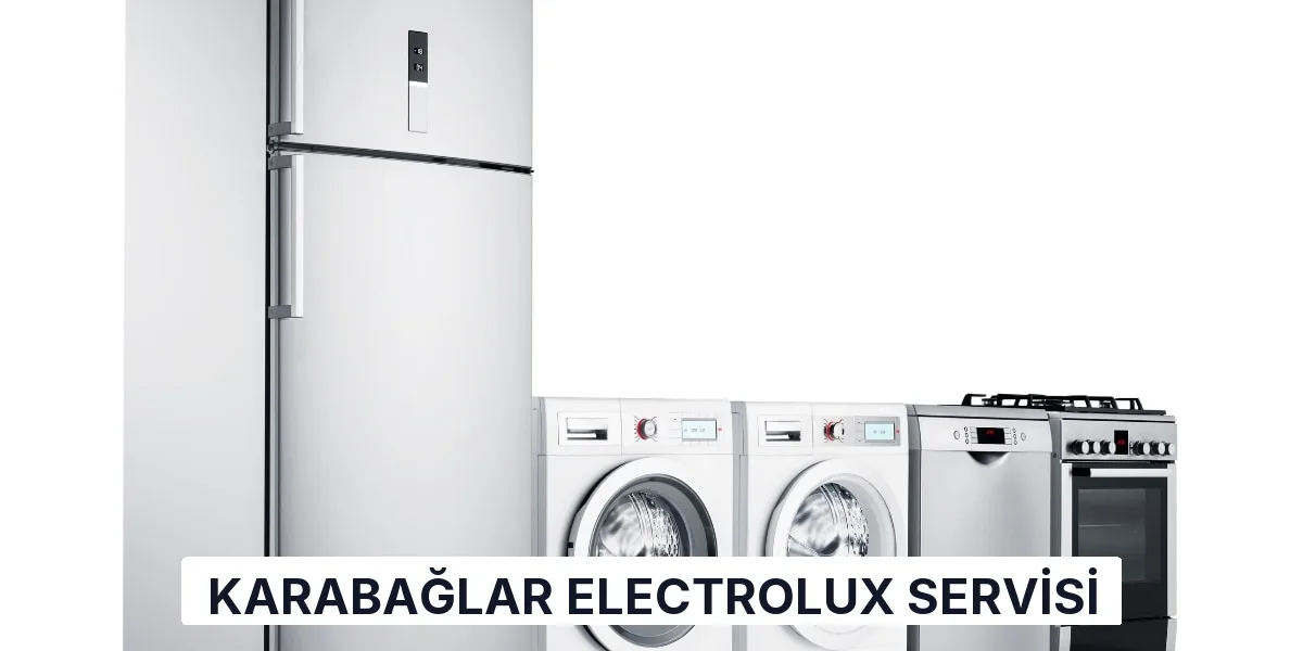 Karabağlar Electrolux Servisi