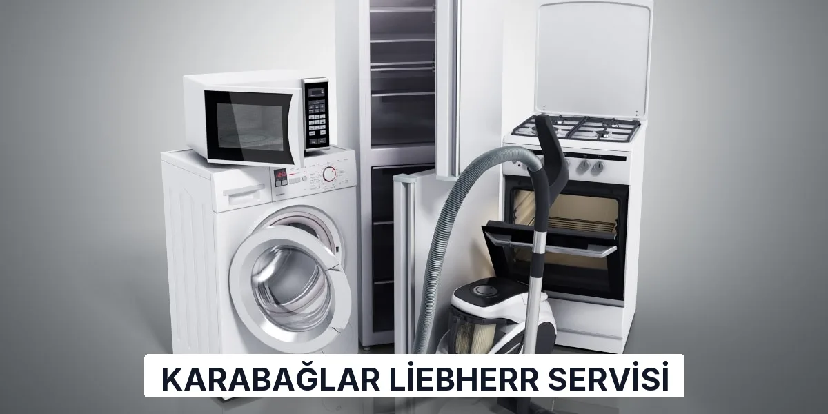 Karabağlar Liebherr Servisi